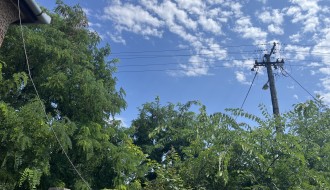 Krošnje drveta urasle u el. kablove u Ulici Kizura Ištvana