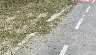 Održavanje staze oko Palićkog jezera