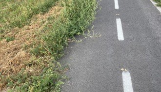 Održavanje staze oko Palićkog jezera