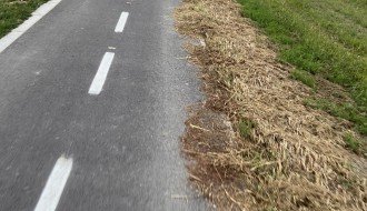 Održavanje staze oko Palićkog jezera