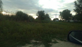 Plantaže ambrozije kod Prihvatnog centra za migrante