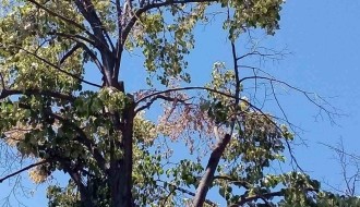 Nezavršeni radovi u Bohinjskoj ulici