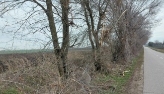Orezivanje grana - deonica od Bajske pruge do Ljutova