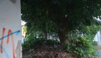 Put do škole opasan za đake (ulica Blaška Rajića)