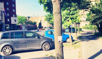 Problem sa parking mestom u centru (grane padaju)