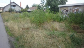 Bara između Travničke i Doža Đerđa (Ambrozija)