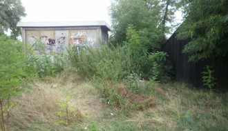 Bara između Travničke i Doža Đerđa (Ambrozija)