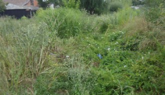 Bara između Travničke i Doža Đerđa (Ambrozija)