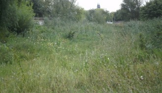 Bara između Travničke i Doža Đerđa (Ambrozija)