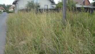 Bara između Travničke i Doža Đerđa (Ambrozija)