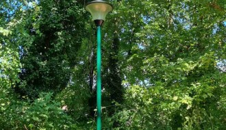 Suvo stablo u Dudovoj šumi pored trim staze