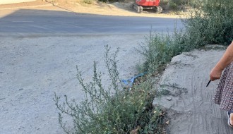 Bagremova ulica - opasnost za vozila i pešake