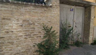 Ambrozija u centru grada (Ptujska ulica)