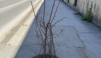 Otvoren šaht mesecima na frekventnoj pešačkoj stazi (A. Čarnojevića)