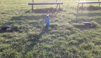 Uništeno igralište u Aleksandrovu