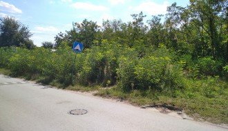 Neodržavanje javne površine, višegodišnji problem Šabačke ulice