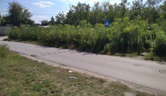 Neodržavanje javne površine, višegodišnji problem Šabačke ulice