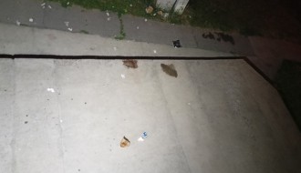 Galama na Teslinom naselju