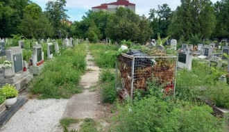 Korov na groblju u Dudovoj šumi (crkveni deo)