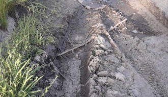 Oštećena bankina na palićkom putu