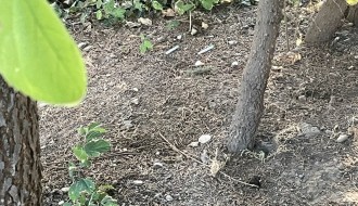 Narkomani u strogom centru