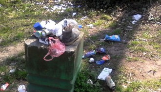 Dudova šuma u vreme korone