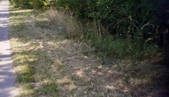 Čija je "prva kasarna" na Palićkom putu, ko treba da brine o njoj?