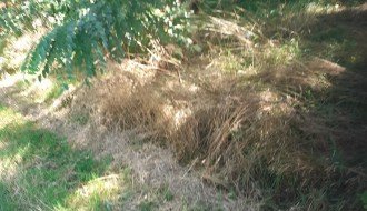 Čija je "prva kasarna" na Palićkom putu, ko treba da brine o njoj?