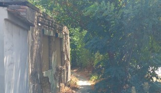 Džungla u Ulici Koste Racina