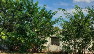 Džungla u Ulici Koste Racina