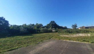 Nova zgrada na Karađorđevom putu zarasla u ambroziju i drugi korov