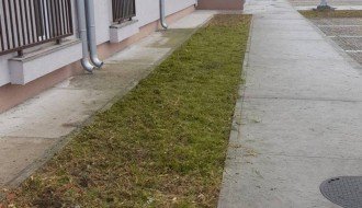 Nova zgrada na Karađorđevom putu zarasla u ambroziju i drugi korov