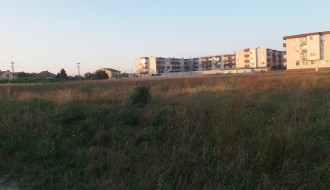 Ambrozija u novom delu naselja Kertvaroš