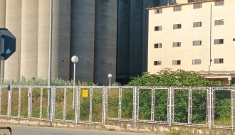 Dvorište bivše Fidelinke puno ambrozije i drugog korova