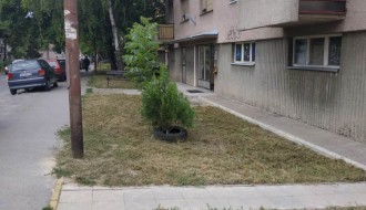 Zapostavljene ulice u Subotici, korov do kolena!