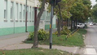 Semafor kod škole Sečenji Ištvan nije vidljiv od lišća i grana