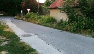 "Prašuma" na uglu ulica Gajeve i Svete Katarine