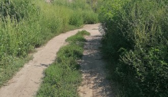 Ambrozija, neprohadna Kosovska ulica, nekontrolisani radovi brze pruge