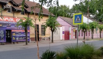 Izbledela "Zebra" na Somborskom putu