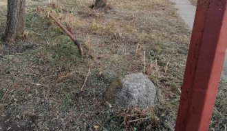 Rastinje oko zgrade (Uralska)