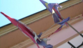 Neugledni državni simboli na zgradama mesne zajednice i policije u Čantaviru