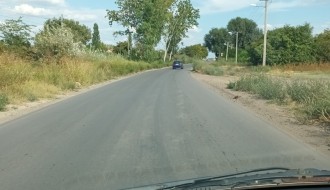 Ambrozija pored Lošinske kod Javnih Skladišta