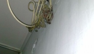 Čistoća u subotičkoj Bolnici