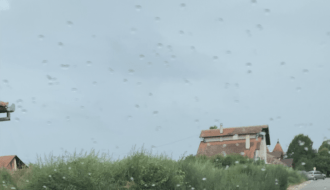 Korov u Kireškoj ulici