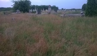 Zastrašujuće neodržavanje groblja - Gornji Tavankut