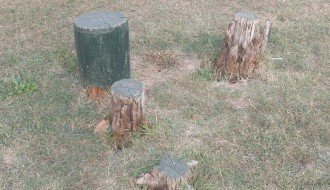 Propale sprave za vežbanje u parku na Prozivci