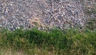 Zapušteno i neuređeno groblje u Dudovoj šumi