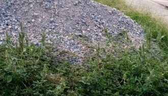 Zapušteno i neuređeno groblje u Dudovoj šumi