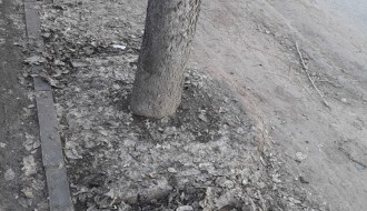 Zapušten parking u ulici Dinka Zlatarića