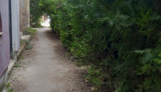 Rastinje na uglu Sonje Marinković i Lajoša Joa